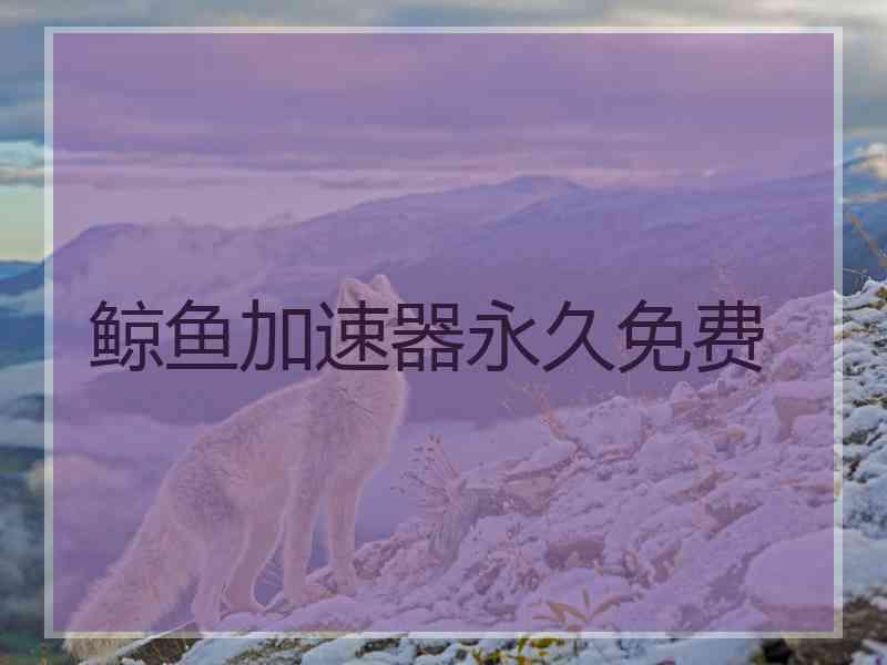 鲸鱼加速器永久免费