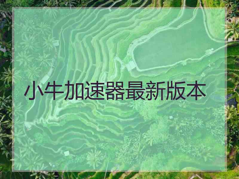 小牛加速器最新版本