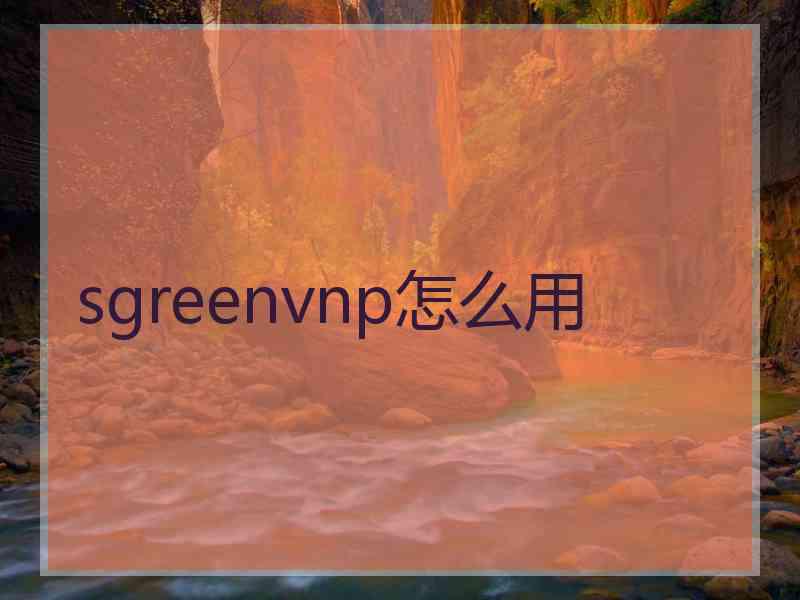 sgreenvnp怎么用