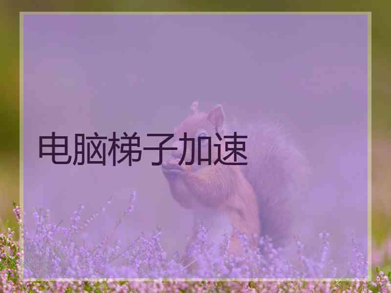 电脑梯子加速