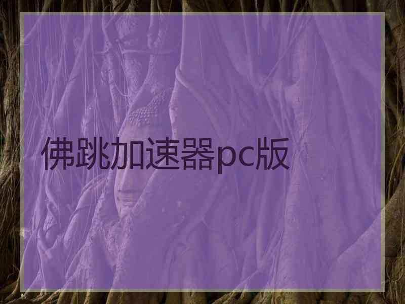佛跳加速器pc版