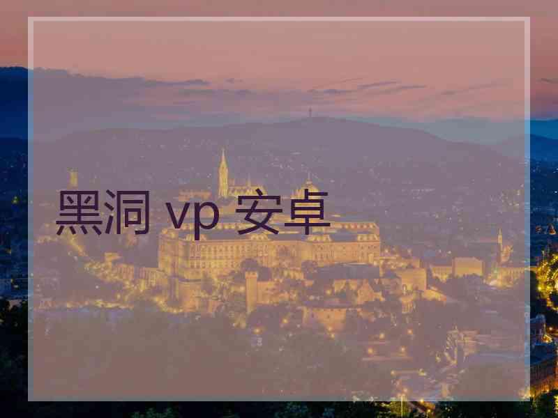 黑洞 vp 安卓