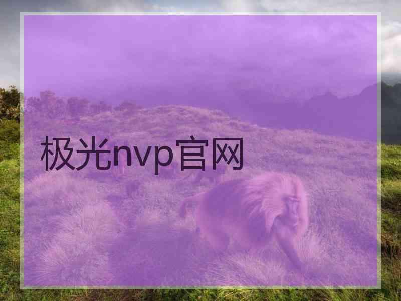 极光nvp官网