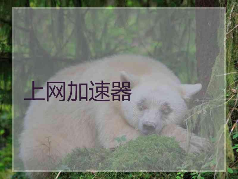上网加速器