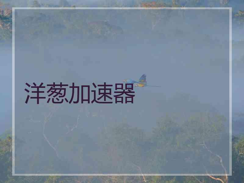 洋葱加速器