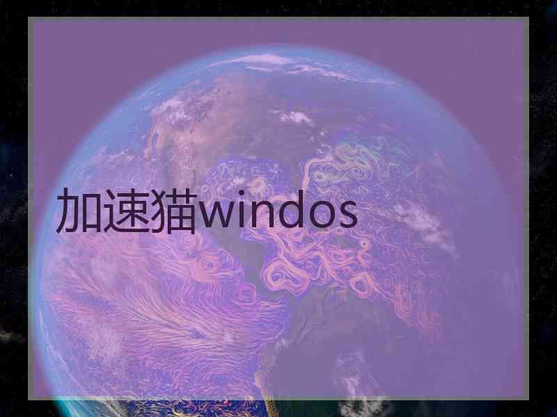 加速猫windos