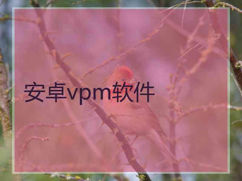 安卓vpm软件