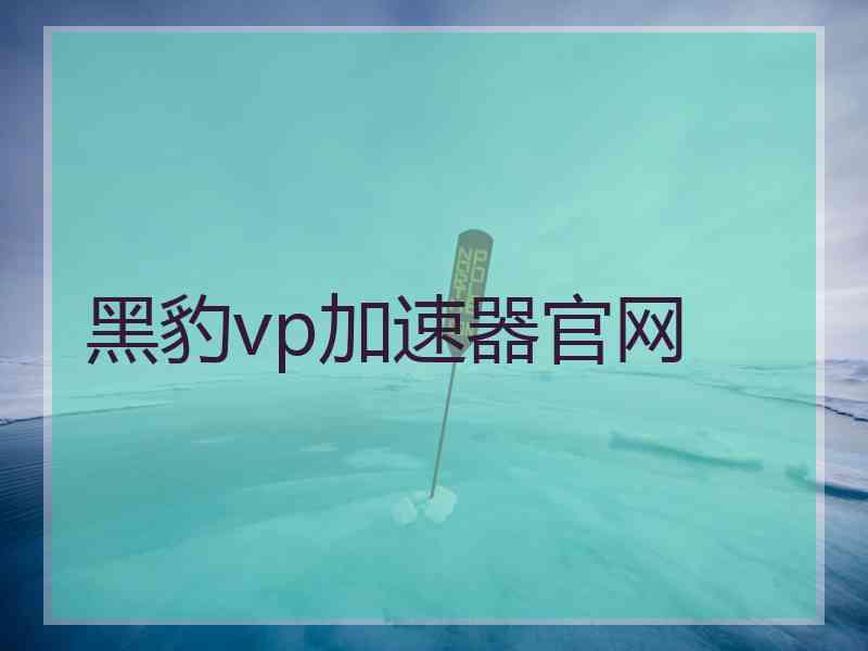 黑豹vp加速器官网