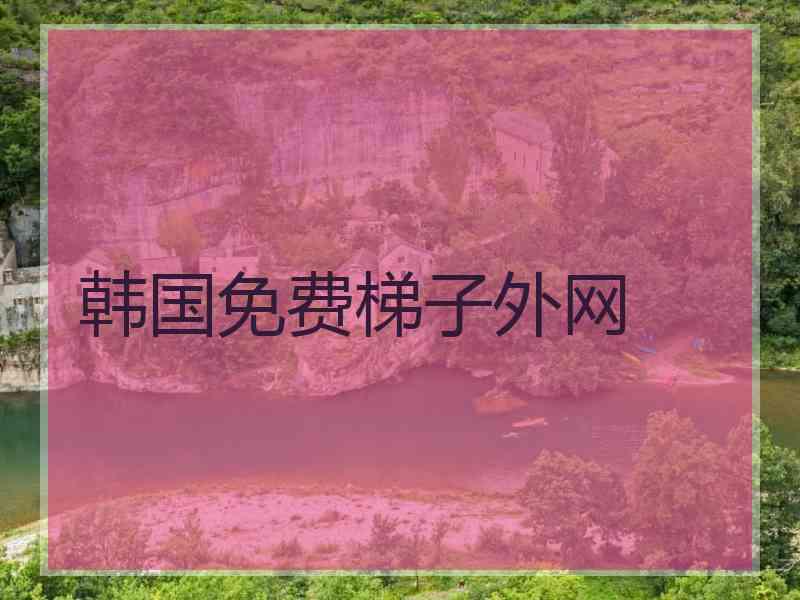 韩国免费梯子外网