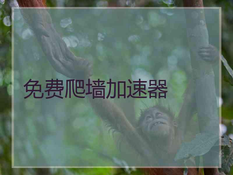 免费爬墙加速器