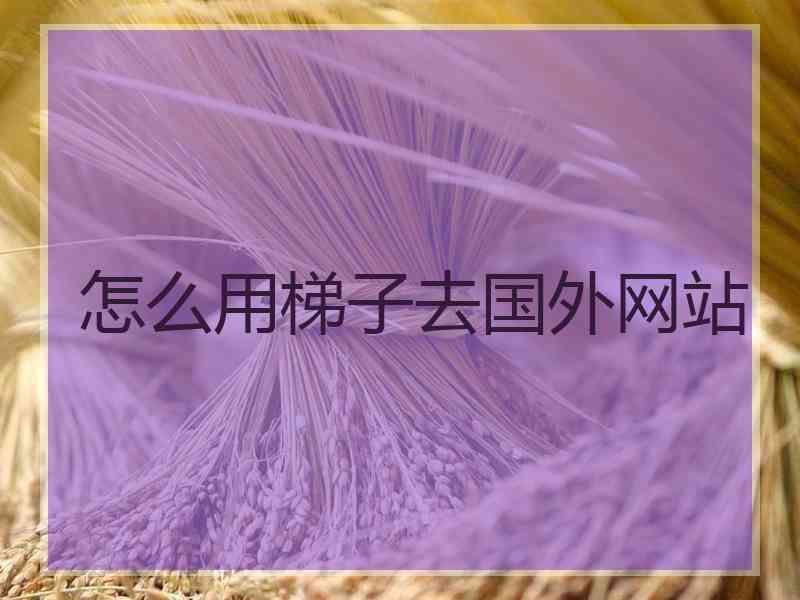 怎么用梯子去国外网站