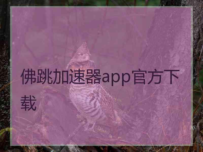 佛跳加速器app官方下载