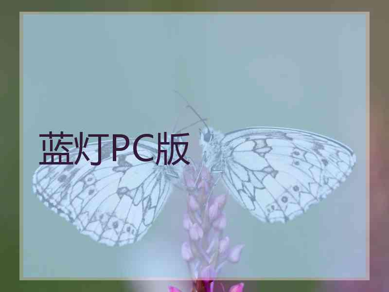 蓝灯PC版