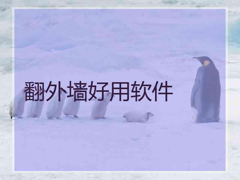 翻外墙好用软件