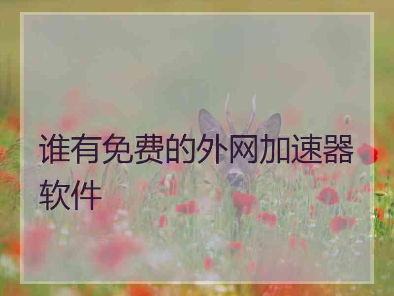 谁有免费的外网加速器软件