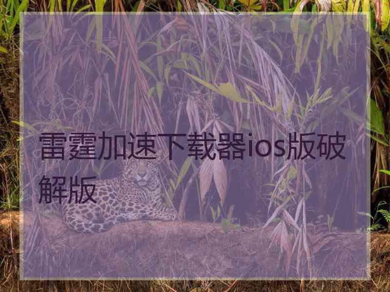 雷霆加速下载器ios版破解版