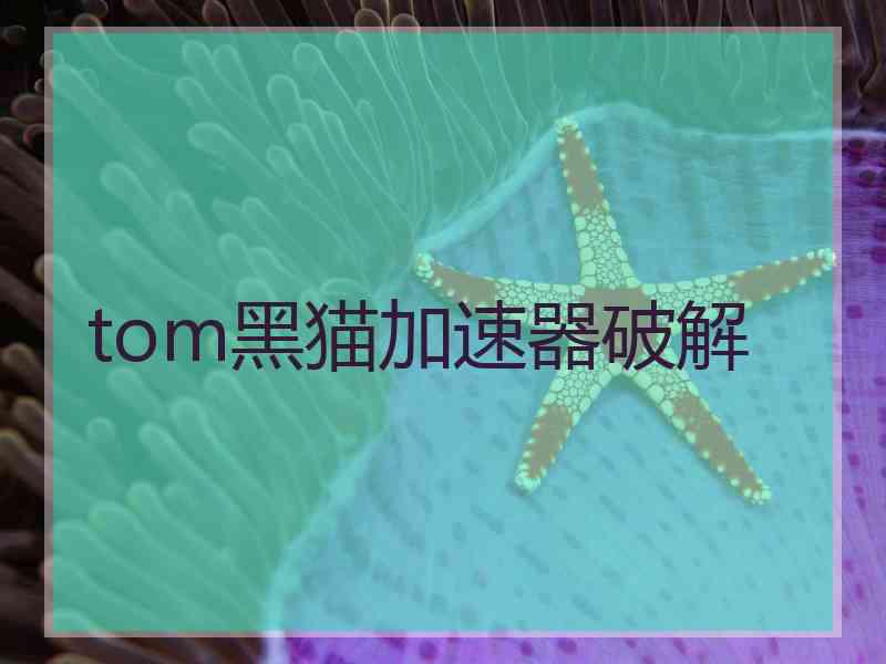 tom黑猫加速器破解