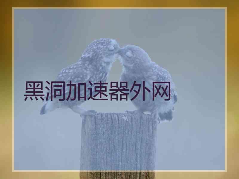 黑洞加速器外网