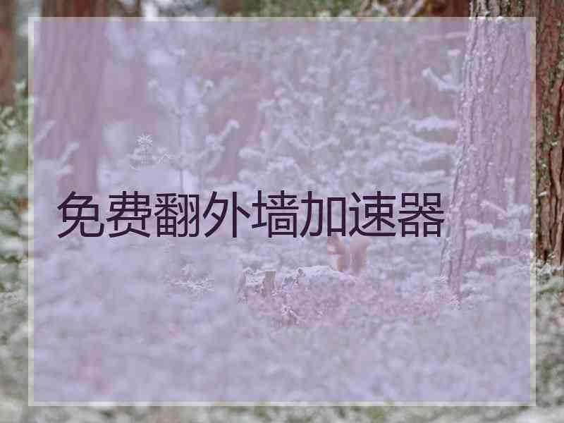 免费翻外墙加速器