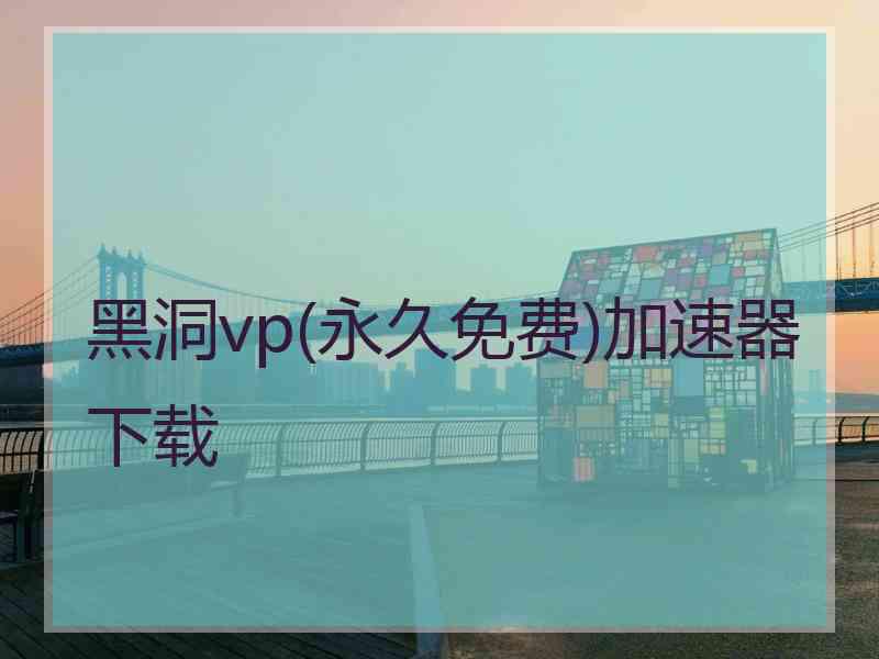 黑洞vp(永久免费)加速器下载