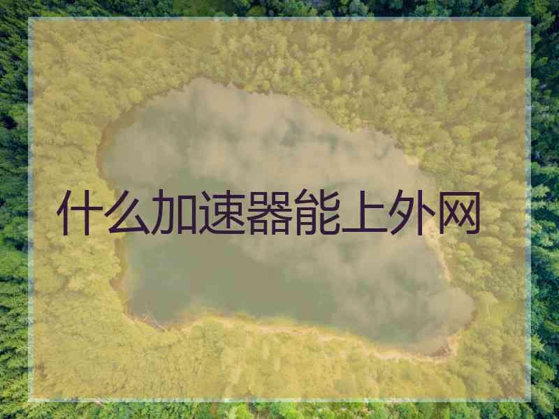 什么加速器能上外网