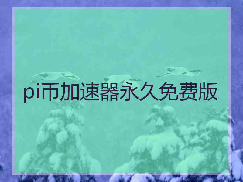 pi币加速器永久免费版