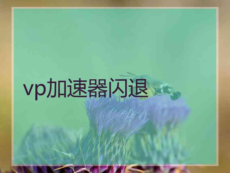 vp加速器闪退