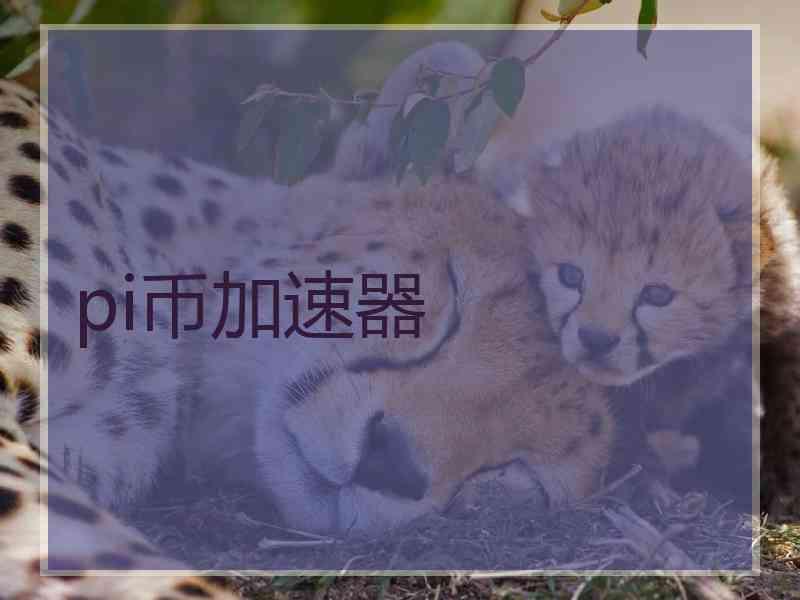 pi币加速器