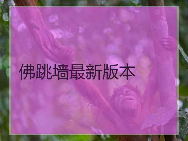 佛跳墙最新版本