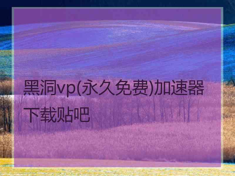黑洞vp(永久免费)加速器下载贴吧
