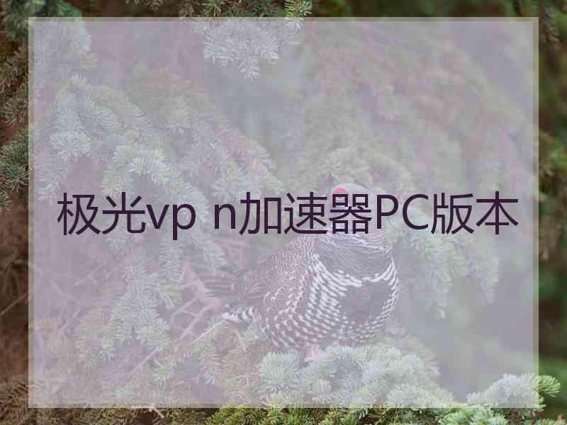 极光vp n加速器PC版本
