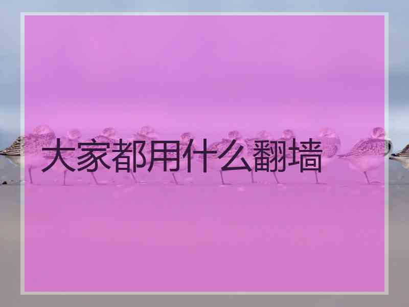 大家都用什么翻墙