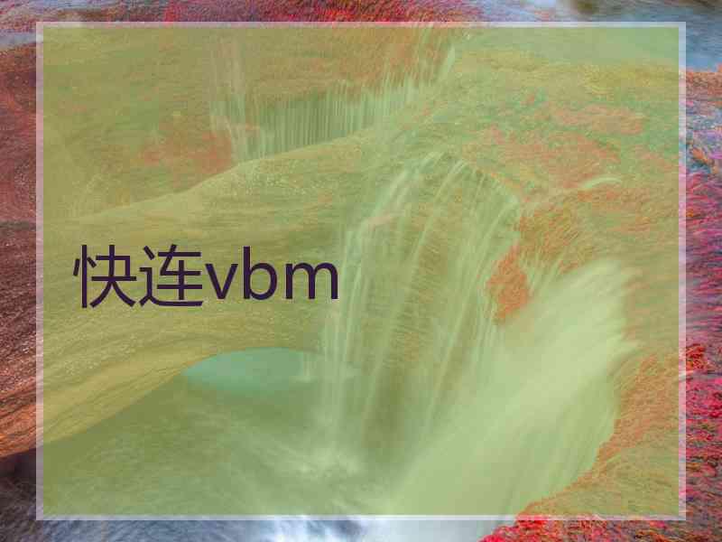 快连vbm