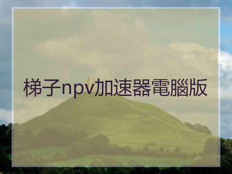 梯子npv加速器電腦版