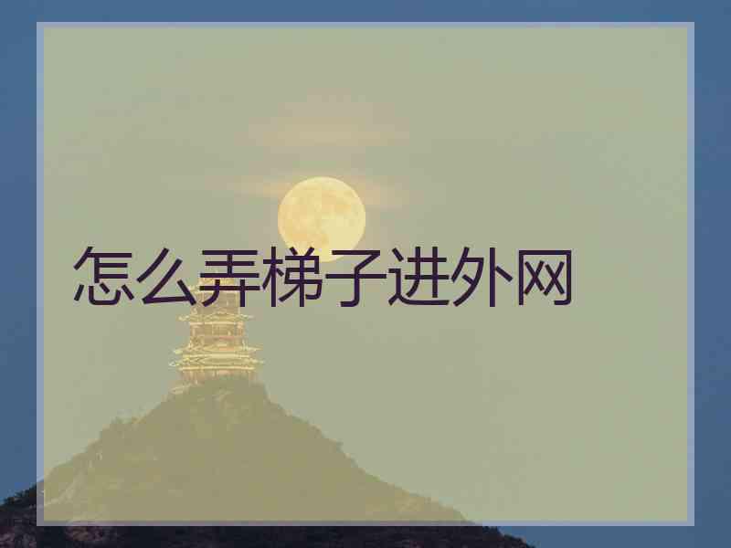 怎么弄梯子进外网