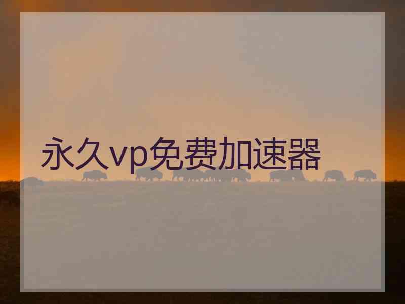 永久vp免费加速器