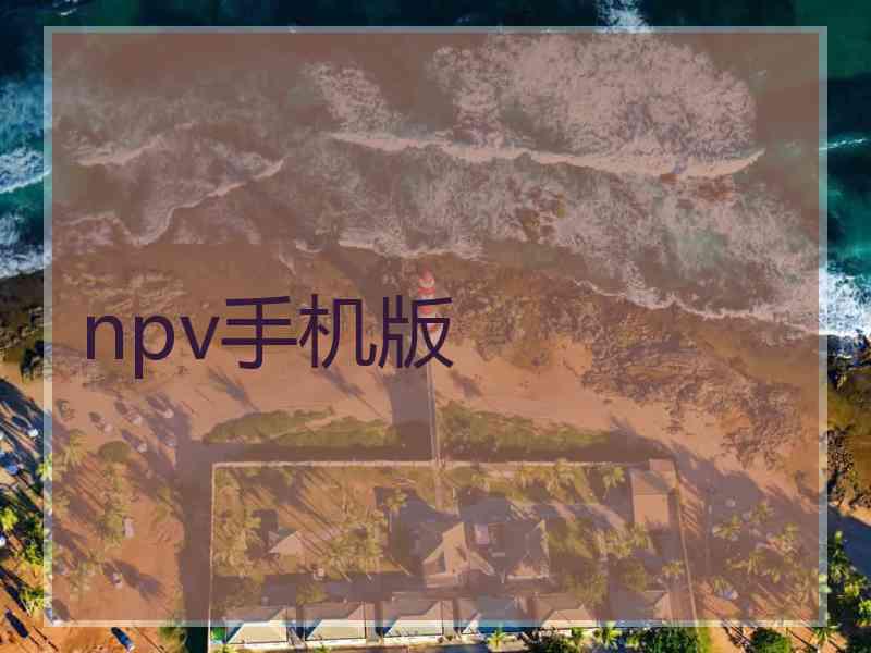 npv手机版