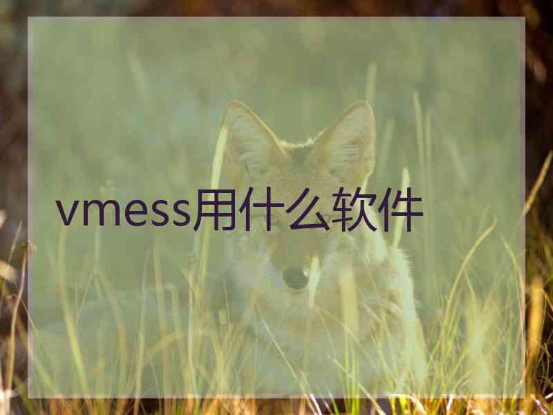 vmess用什么软件