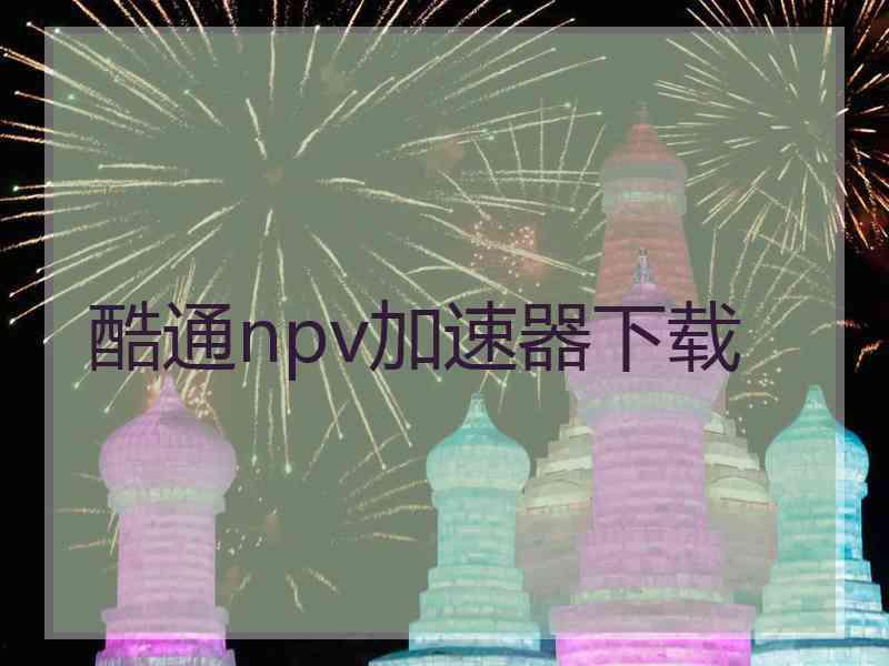 酷通npv加速器下载