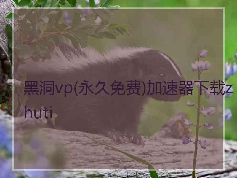 黑洞vp(永久免费)加速器下载zhuti