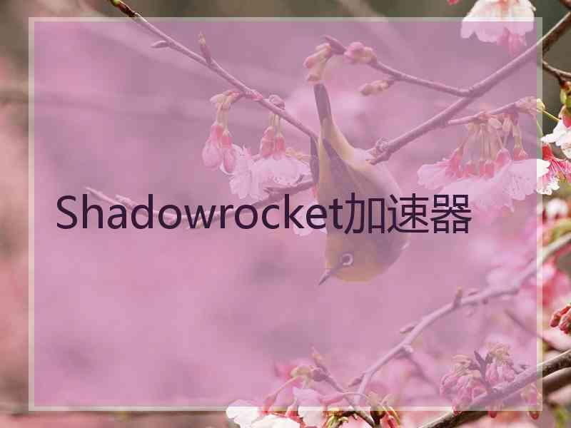 Shadowrocket加速器