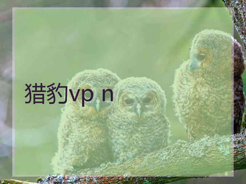 猎豹vp n
