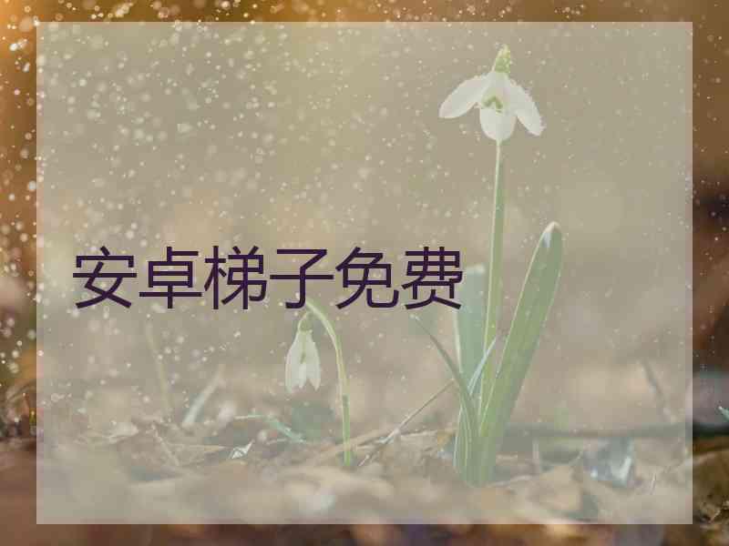 安卓梯子免费