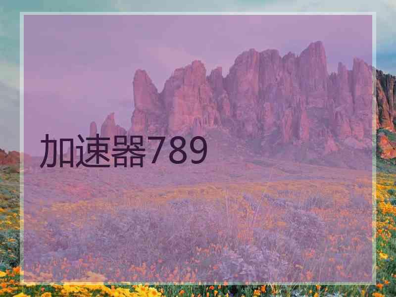 加速器789