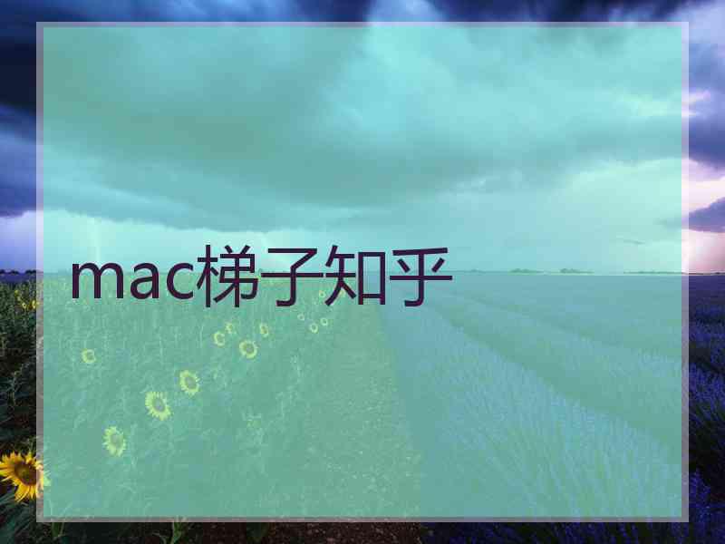 mac梯子知乎