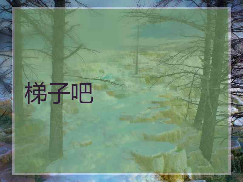 梯子吧