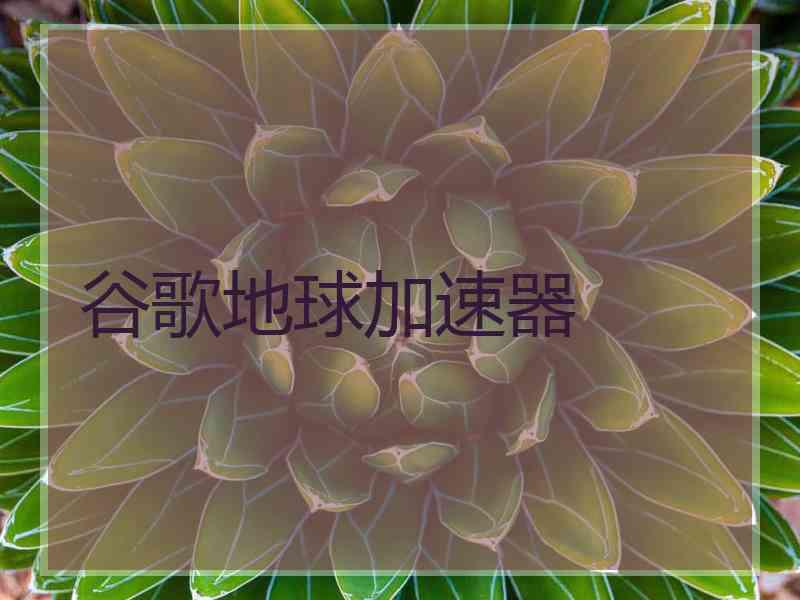 谷歌地球加速器