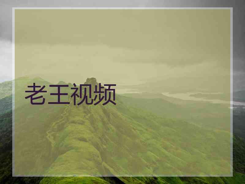 老王视频