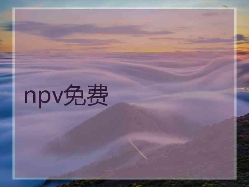 npv免费