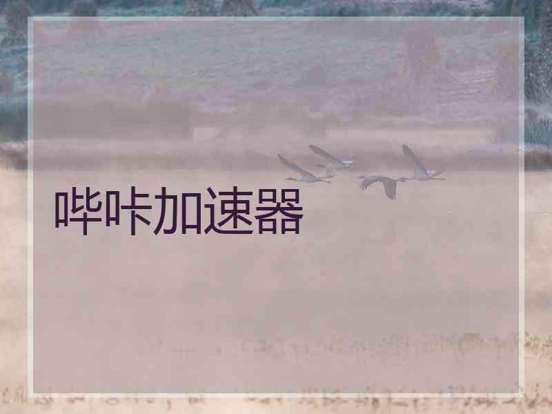 哔咔加速器